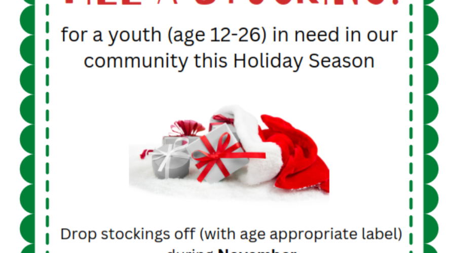 Youth Stocking Initiative